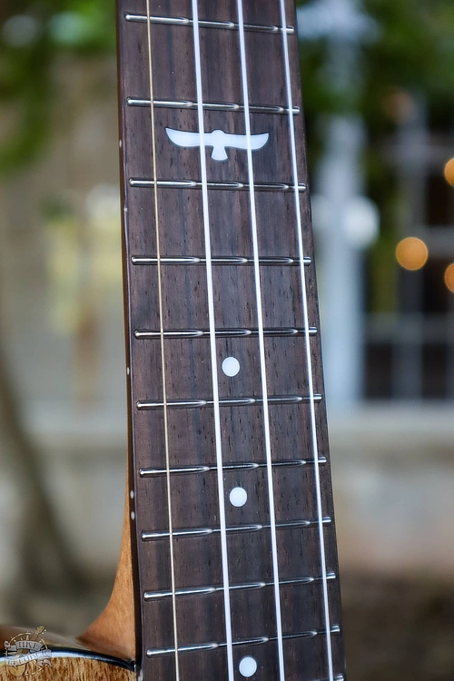 Picture showing the fretboard inlays of the Kala Ukulele