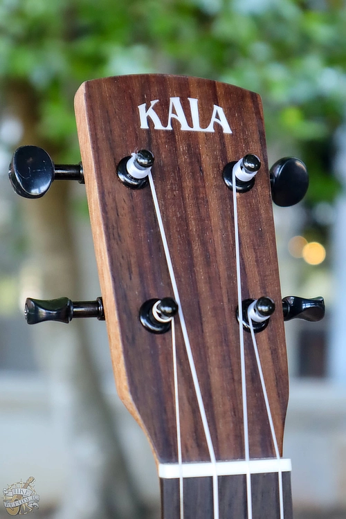 Picture showing a close up of the headstock of the Kala Ukulele